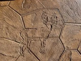 1772109426-Pauletta Case Deer Stamp4.webp